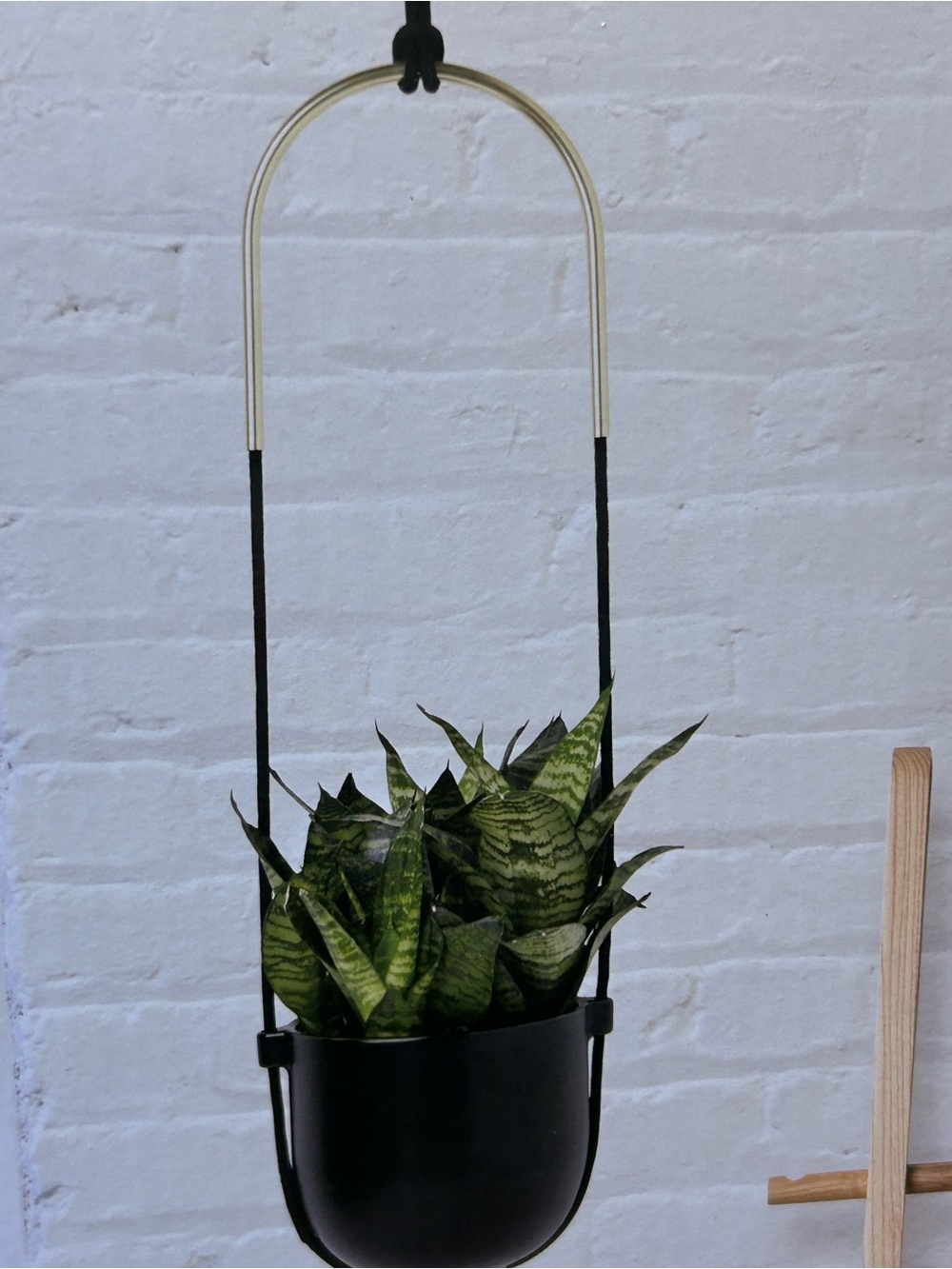 Umbra Planter - Bolo Single Hanging Planter — Black | NEW IN BOX - NWT - Picture 3 of 9